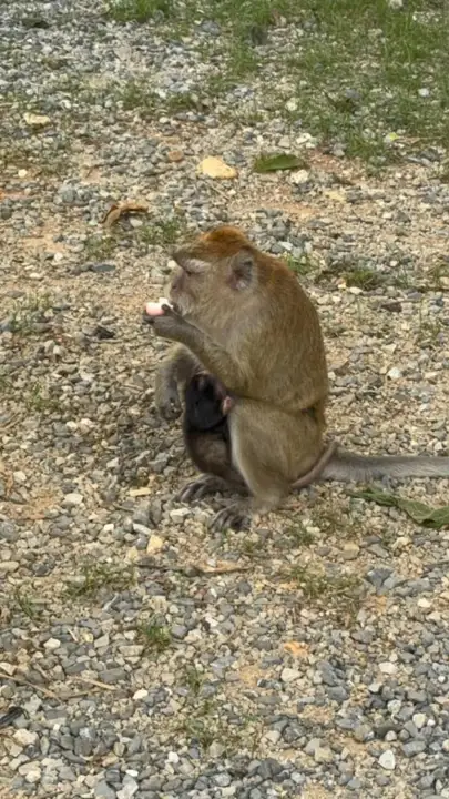 Nature encounters on the trip