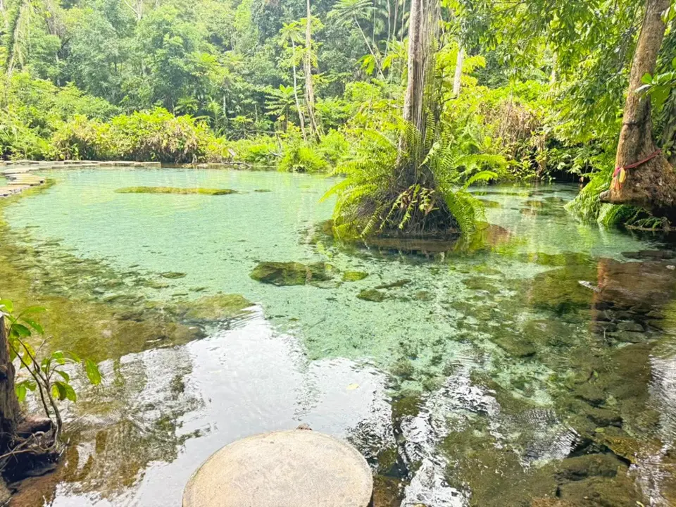 Greenery around the natural spring
