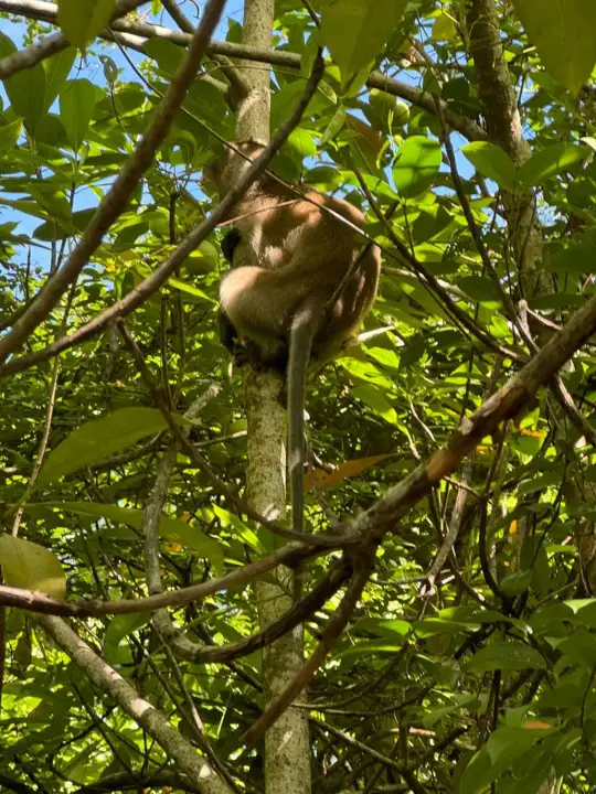 Nature encounters on the trip