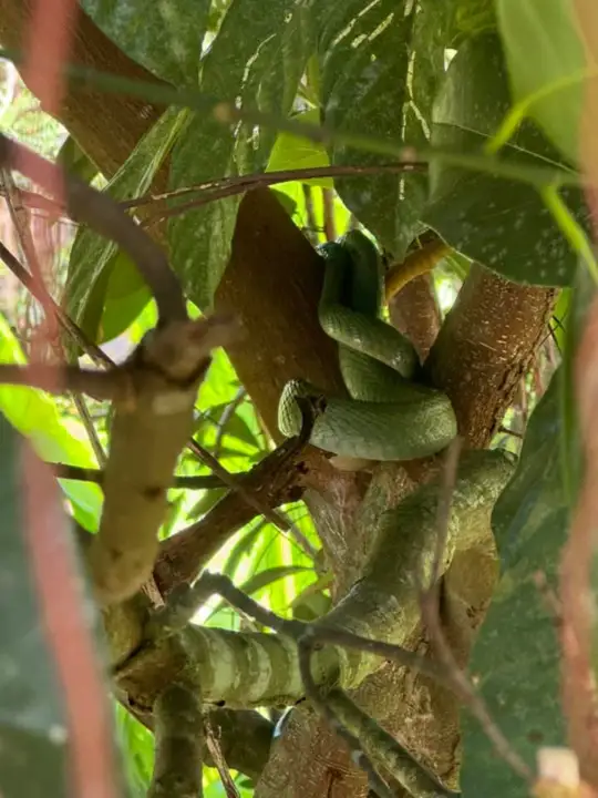 Nature encounters on the trip