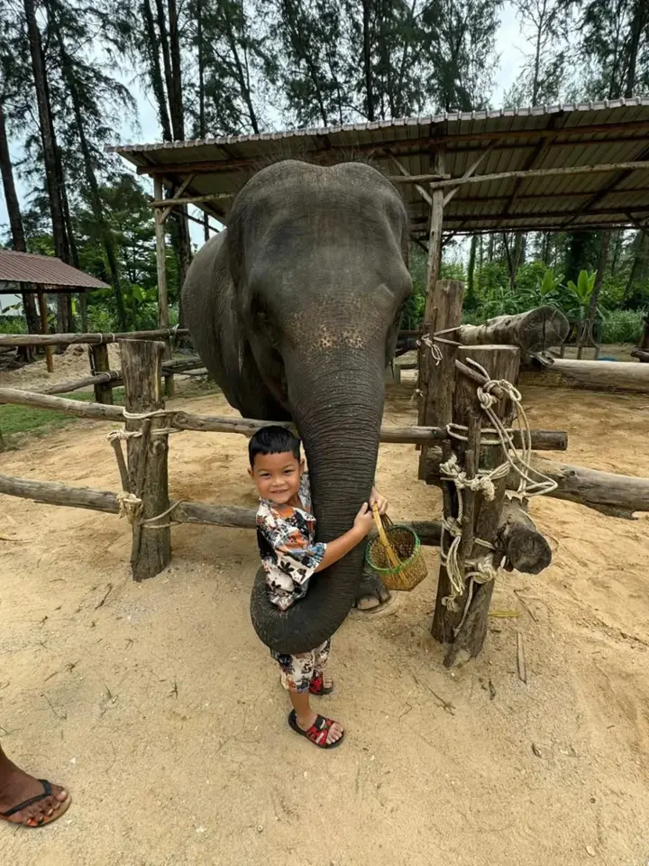 An elephant experience