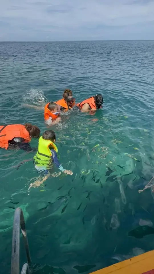 Watching fish in the water