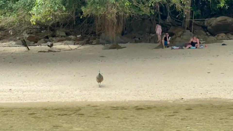 Coastal sights along the trip
