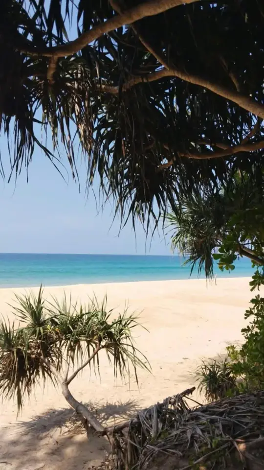 Relaxing by the sea