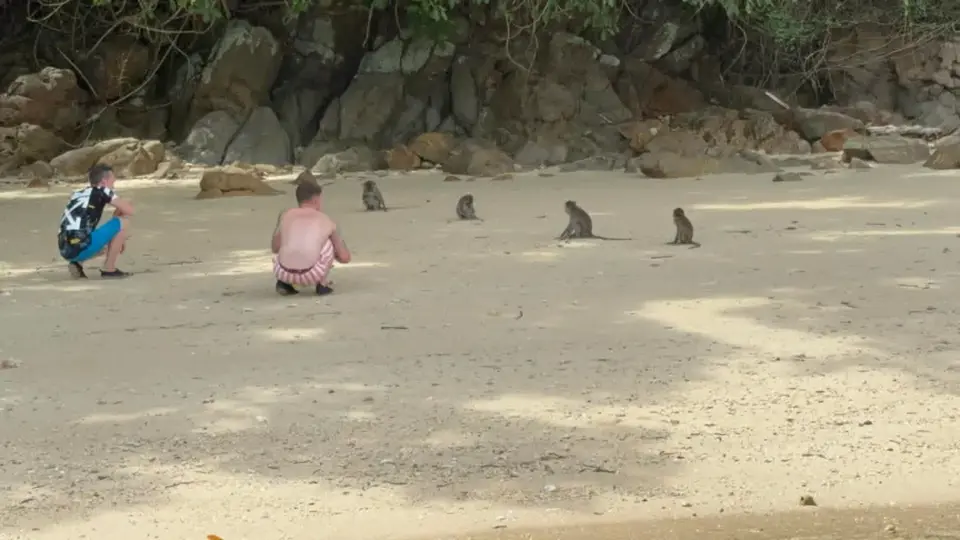 One of the beach stops