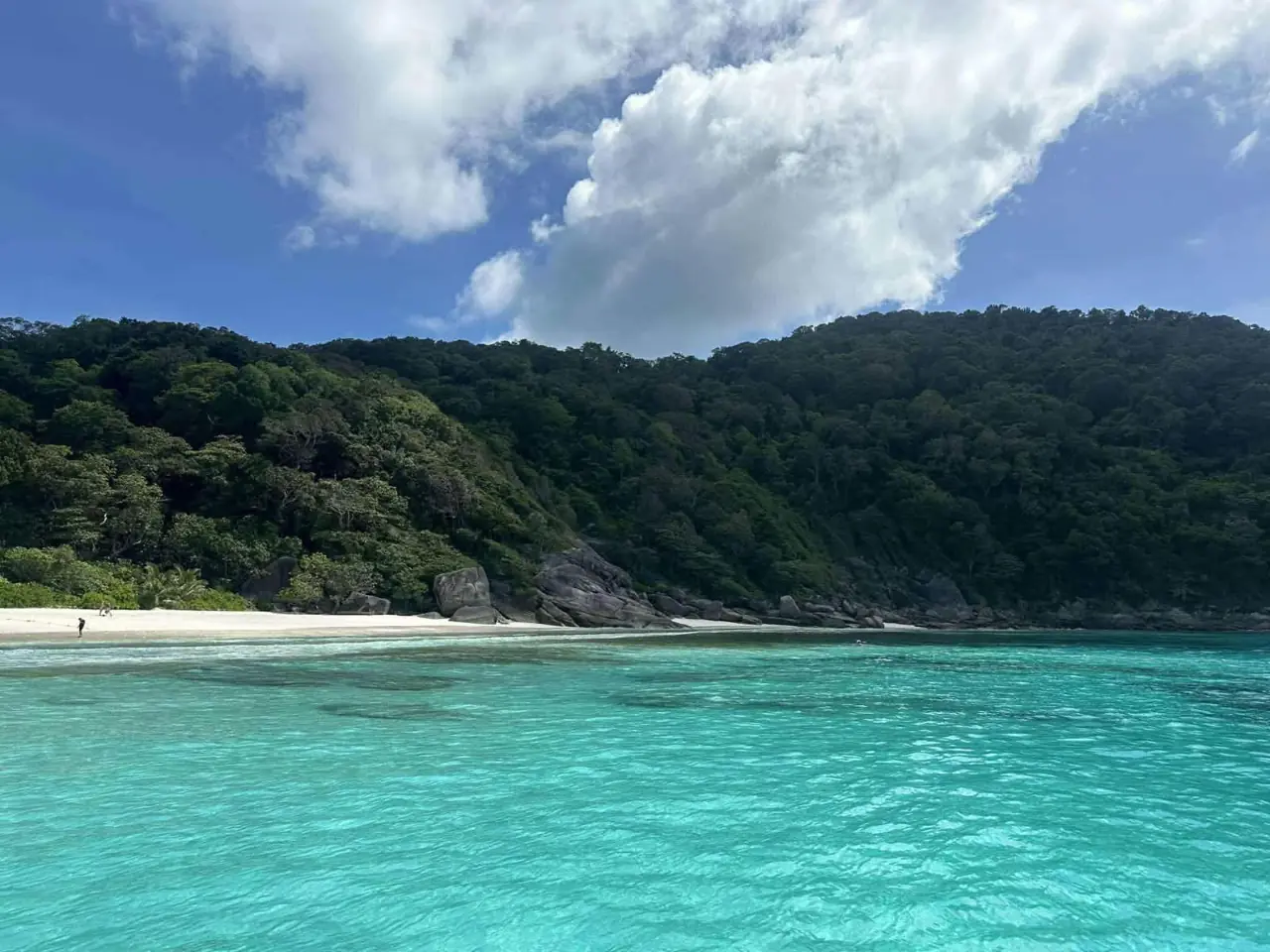 White beach and forest on the Similan Islands