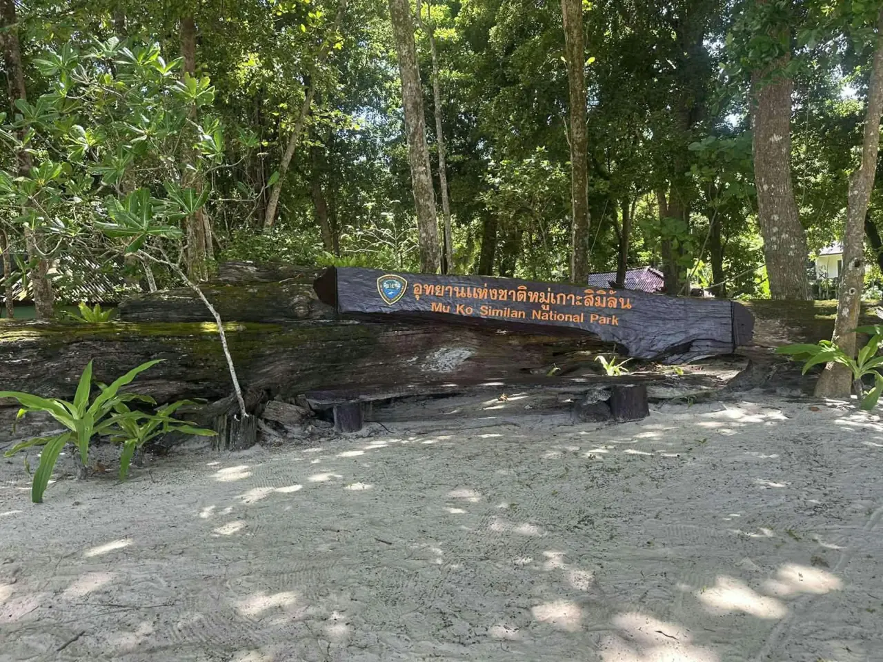 Shaded path through the Similan island forest