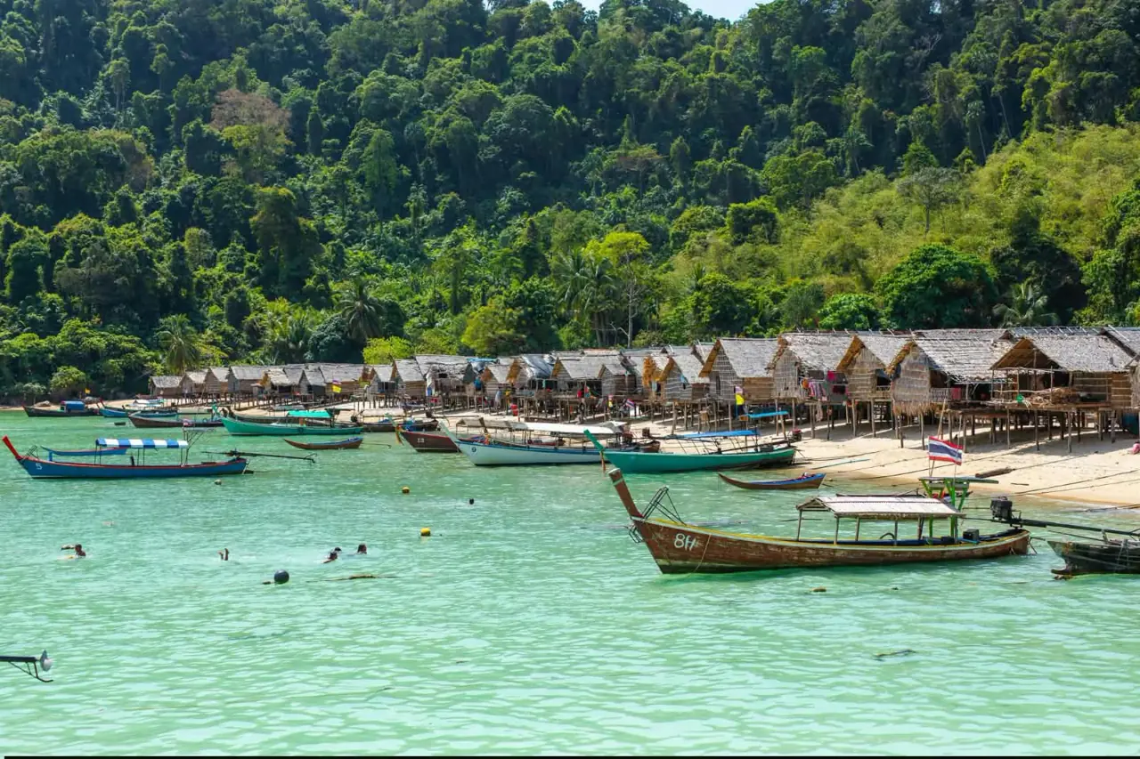 Long-tail boats by a wooded Surin island shore